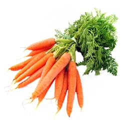 Carrot