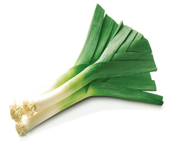 Leek